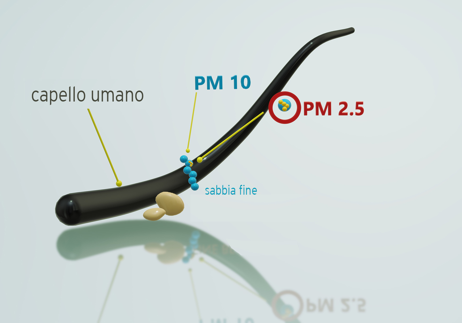 dimensioni polveri sottili Pm2,5 e Pm10