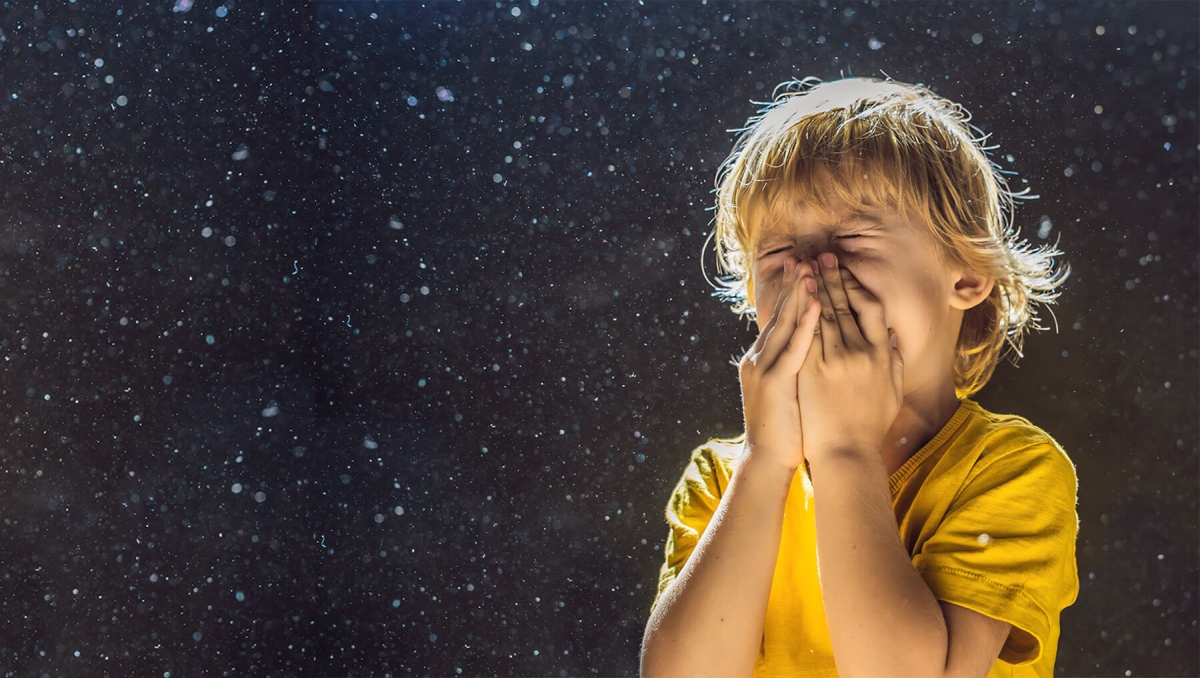 Rimedi alle allergie respiratorie