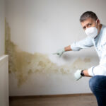 muffa in camera da letto