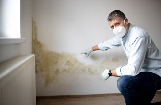 muffa in camera da letto