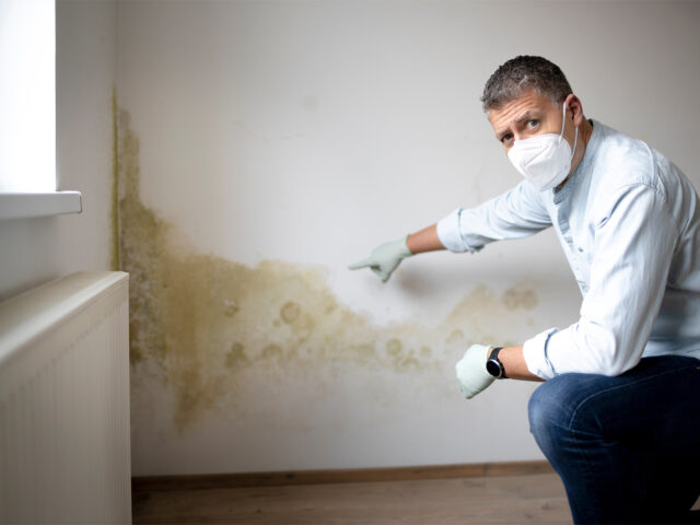 muffa in camera da letto